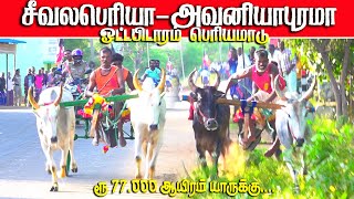 1ஓட்டம்பிடாராம்-பெரியமாடு-77.000ஆயிரம்-பந்தயம்22.02.2025