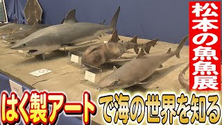 はく製の魚たちが奏でる海の魅力：松本のイベント 日本財団 海と日本PROJECT in 長野 2023 #09