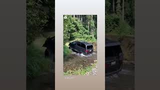 Toyota Alphard Offroading in river #toyotaalphard #offroad #4x4 #mpv #suv