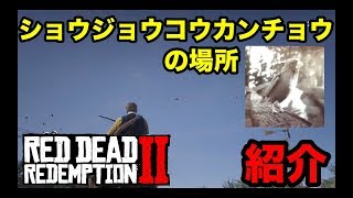 【攻略】レッドデッドリデンプション2  ショウジョウコウカンチョウの最良の死骸の場所を紹介！【狩猟の依頼】