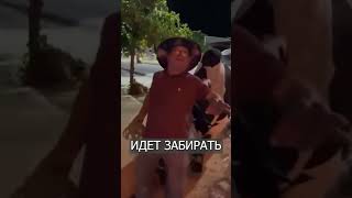 Бык ведёт ПЬЯНОГО хозяина домой