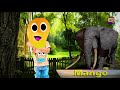 learn fruits names with hanu and toby in a magical jungle