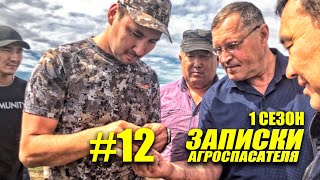 #12 Яровой рапс, обработка полей