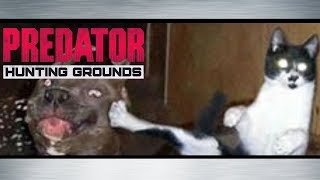 #6【PHG】[S1/So-1]『パリィ☆』「PREDATOR HUNTIG GROUNDS」