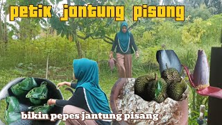 petik jantung pisang lanjut kita bikin pepes jantung pisang @abidzar11abi89