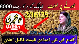 Wheat Support price 2025 | گندم کی نئی امدادی قیمت فائنل اعلان