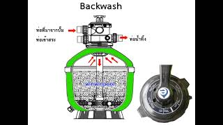 Back Wash ถังกรองทรายสระว่ายน้ำทำอย่างไร?ระบบทำงานยังไง?ไปดูกันby @winwinpoool