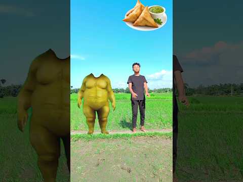 Flying Dog Body Part Matching Game vs Samosa Omelette Eating – VFX Magic Video #sohrts