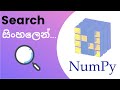 Python Numpy Tutorial - 09 | Search elements | Sinhala