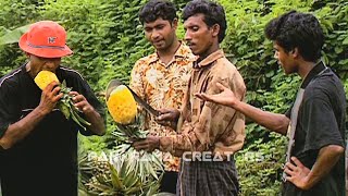 রসে স্বাদে মধুপুরের আনারস