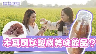 尋味行｜木耳可以製成美味飲品？ ｜台灣美食｜邵珮詩｜宋婭彤｜台灣旅行