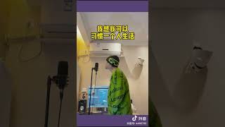 我为什么单身的原因#抖音热门歌曲