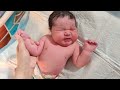 normal delivery birth of 5kg chubbiest newborn baby is incredible chubby cute shorts big fluffy