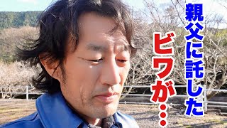 親父が大事なビワをこんな風にしてしまった　　　【園芸超人カーメン君】