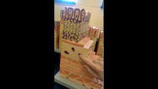 Stomach wall model