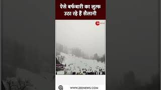 shorts: ऐसे बर्फबारी का लुत्फ उठा रहे हैं सैलानी। Himachal Snowfall। Snowfall starts in Solang Nala