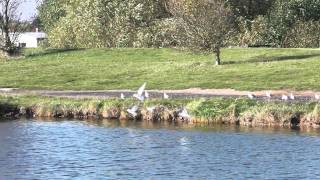 The Fitties Lakes.Cleethorpes