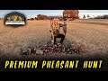 Pro Membership Sweepstakes Giveaway for Premium Pheasant Hunt with Tumbleweed Lodge!