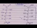 Fischer & Haworth projection formulae for Glucose (Biomolecules class 12 chemistry )