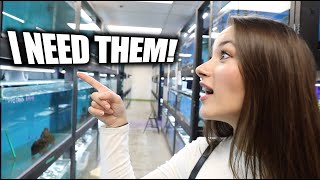 EMERGENCY LOCAL FISH STORE TRIP & TOUR! - The king of DIY - ADayWithT