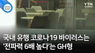 국내 유행 코로나19 바이러스는 '전파력 6배 높다'는 GH형 / YTN 사이언스