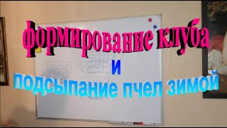 Формирование клуба и подсыпание пчел зимой