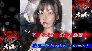 【 大天蓬 dj 】璐爺 ( DJ 阿超 ProgHouse Remix )