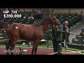 2018 Keeneland September Sale: Hip 729