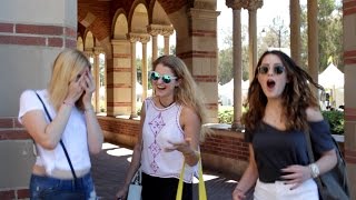 UCLA admits recreate acceptance reactions