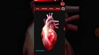 surface of heart animation short || Heat ||#shorts #viral #heart #mbbs #doctor #physiotherapy #neet