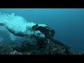 INTENSE CURRENTS AT DARWIN'S ARCH, Galapagos!