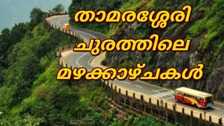 താമരശ്ശേരി ചുരത്തിലെ മഴക്കാഴ്ചകളിലൂടെ ഒരു യാത്ര...Thamarassery Ghats(Wayandu Ghats)