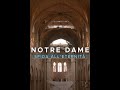 Notre-Dame: Sfida all'eternità (2020)