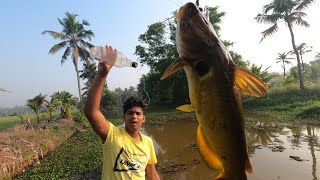 കുപ്പി ചൂണ്ടയിൽ മഞ്ഞകൂരി ചാകര 😱 | Catch And Cook | Traditional fishing and cooking