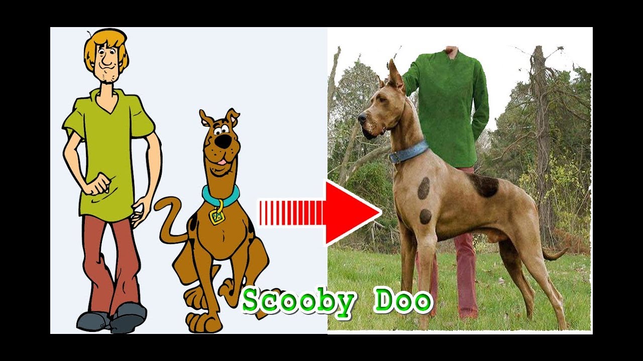 Names And Pictures Of Scooby Doo Characters Infoupdate Org