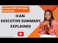 ICAN Executive Summary Explained: Internal and External Reports