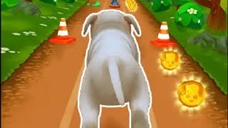 Pet Run - Puppy Dog Game - New Update Dog Run android gameplay - Best Dog Run score