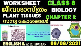 std 8 biology plant cells സസ്യ കലകൾ / class 8 biology chapter 2 activities