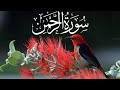 || Most Relaxing Surah Ar Rahman by Mishary Rashid || #surahrehmanfull #surah