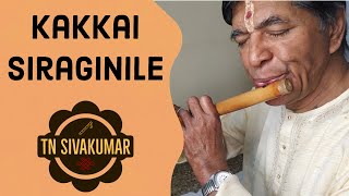 Kakkai Siraginile -(Flute) TN Sivakumar | Ragam Kaapi | Eka Talam