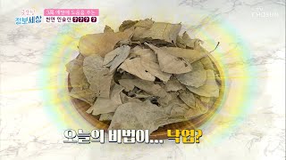 천연 인슐린라고 불리는 ‘이것’은? #광고포함  | [굿모닝 정보세상] 323회  | TV CHOSUN 20201204 방송