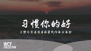 王理文 - 习惯你的好 [习惯你笑着闹着说爱我的每分每秒] 【動態歌詞/pīn yīn gē cí】