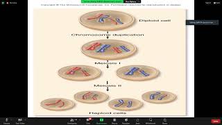 GPB 221 ( Sexual reproduction and meiosis) Latif xir