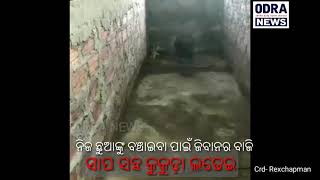 ସାପ ସହ କୁକୁଡ଼ାର ଲଢ଼େଇ