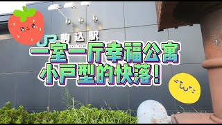 东京山手线一室一厅小公寓参观，超适合单身或情侣通勤房源。交通满分！