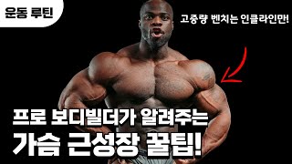 ㅁ프로 보디빌더가 알려주는 가슴 근육 키우는 꿀팁!