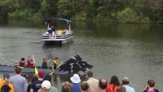 The race - Water Wolf vs The Revenge - Cardboard Boat Race