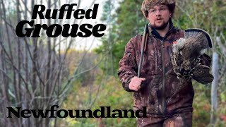 Ruffed Grouse Hunting - Catch & Cook ( Simple & Delicious Recipe ! )