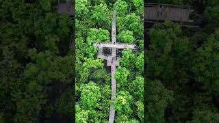 Drone video kuriana park ,#swarupkathi