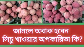 লিচু খাওয়ার অপকারিতা | Disadvantages of eating litchi |